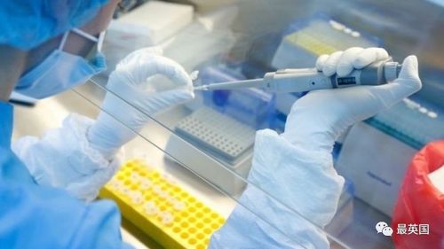 中國疫苗保護(hù)率近80 ,牛津疫苗官宣4天后開打