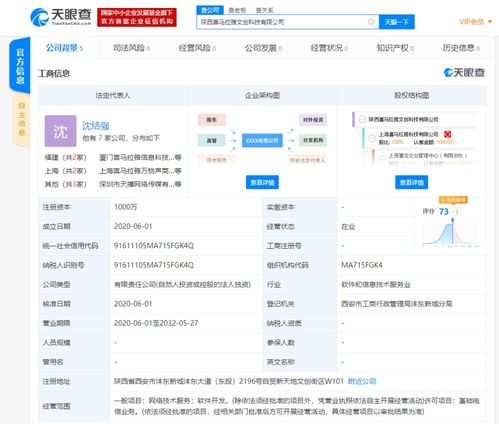 基礎軟件服務 數(shù)字化轉(zhuǎn)型的堅實基石