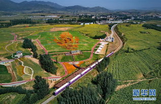 秦皇島山海旅游觀光火車進入項目觀摩測試階段 開啟旅游觀光的流動風景線